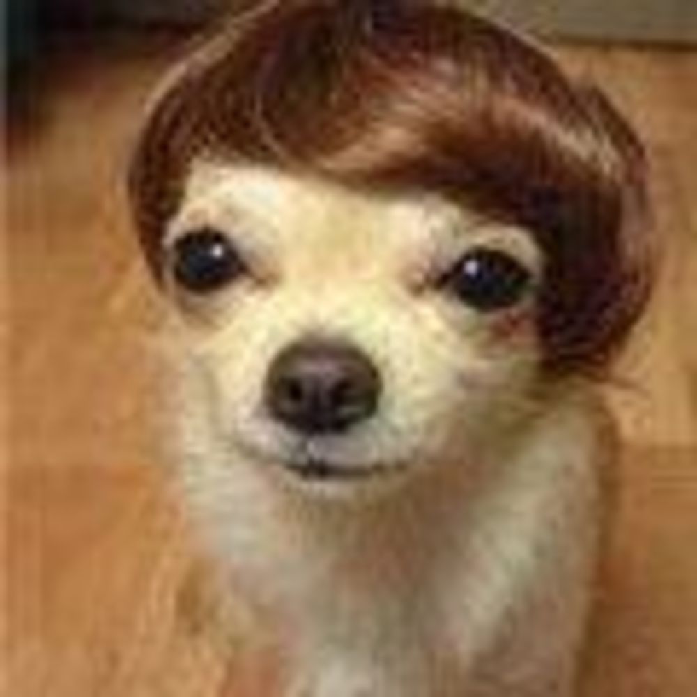 Meet your Posher, Christine